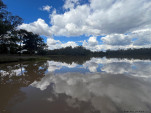 CHINCHILLA-23-46-26-IMG 1202-017