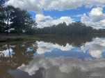 CHINCHILLA-23-46-26-IMG 1201-016