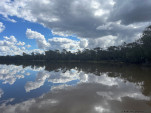 CHINCHILLA-23-46-23-IMG 1197-012