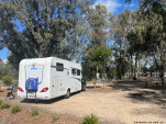 CHINCHILLA-23-46-22-IMG 1195-010