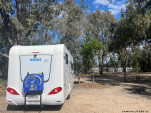 CHINCHILLA-23-46-21-IMG 1194-009