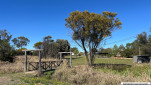 WANDOAN QLD-20250209-51