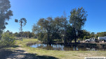 WANDOAN QLD-20250209-42