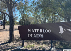WANDOAN WATERLOO PLAINS PARK QLD