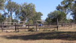 MYELLA FARM QLD-20250809-42