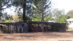 MYELLA FARM QLD-20250809-37