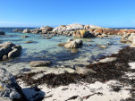 BAY OF FIRES SEP 2024-09