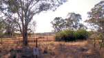 MYELLA FARM QLD-20250809-35