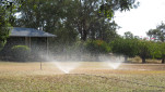 MYELLA FARM QLD-20250809-30