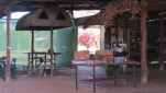 MYELLA FARM QLD-20250809-24