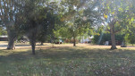 MYELLA FARM QLD-20250809-12
