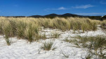 BAY OF FIRES SEP 2024-33