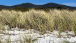BAY OF FIRES SEP 2024-32
