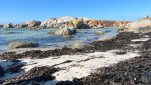 BAY OF FIRES SEP 2024-08
