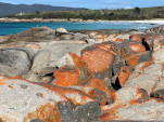 BAY OF FIRES SEP 2024-11
