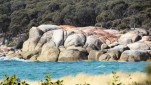 BAY OF FIRES SEP 2024-40