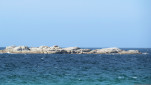 BAY OF FIRES SEP 2024-39
