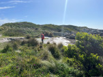 BAY OF FIRES SEP 2024-17