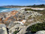 BAY OF FIRES SEP 2024-24