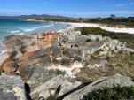 BAY OF FIRES SEP 2024-25