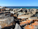 BAY OF FIRES SEP 2024-13
