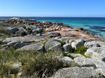 BAY OF FIRES SEP 2024-26