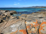 BAY OF FIRES SEP 2024-14