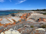 BAY OF FIRES SEP 2024-10