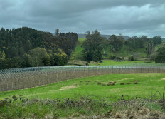 TAS - Beaconsfield