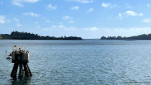 03 01 Beauty Point 0 (4)