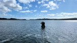 03 01 Beauty Point 0 (2)