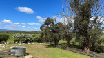 ROSS BRICKENDEN TAS  OCT 2024-103