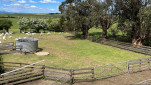 ROSS BRICKENDEN TAS  OCT 2024-102