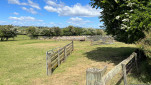 ROSS BRICKENDEN TAS  OCT 2024-100