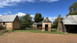ROSS BRICKENDEN TAS  OCT 2024-52