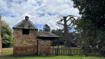 ROSS BRICKENDEN TAS  OCT 2024-49