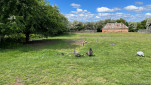 ROSS BRICKENDEN TAS  OCT 2024-42