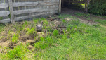 ROSS BRICKENDEN TAS  OCT 2024-36