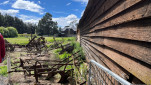 ROSS BRICKENDEN TAS  OCT 2024-33