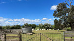 ROSS BRICKENDEN TAS  OCT 2024-30