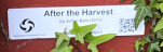 AFTER THE HARVEST TEXT