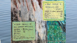 BUSH LIFE IN TASMANIA MURAL  TEXT