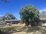 IMG 0952
