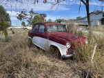 IMG 0956
