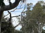 IMG 0973