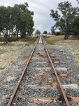 IMG 0978