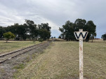 IMG 0984