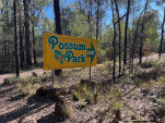 POSSUM PARK-11-16 PM-B17 IMG 1156-032