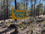 POSSUM PARK-11-16 PM-B17 IMG 1156-003