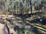 POSSUM PARK-11-16 PM-B13 IMG 1152-028